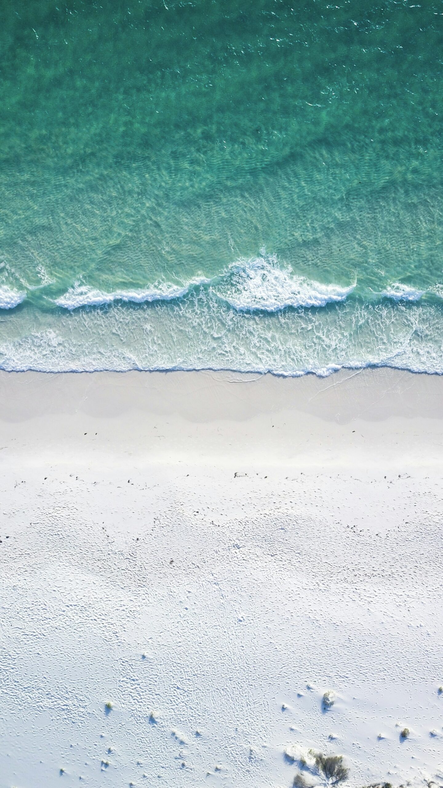 Aerial view of a bright turquoise wave meeting white sand