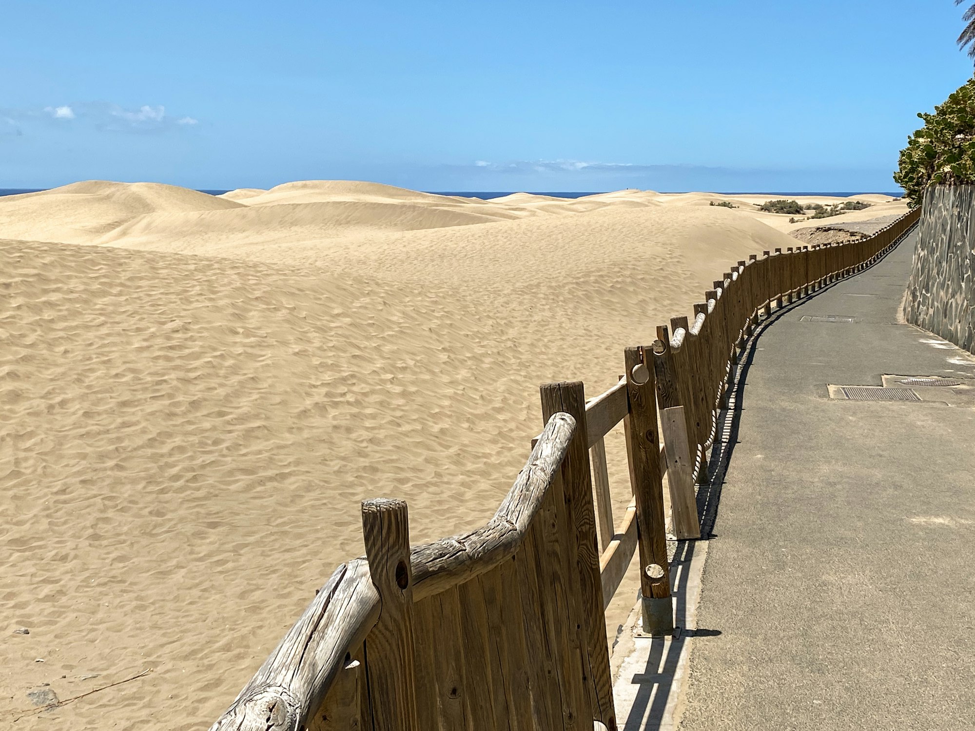 Sunny dunes and a wooden beach fence under a blue sky